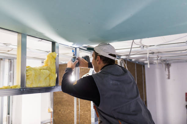 Best Residential Insulation Services  in Hallsville, MO