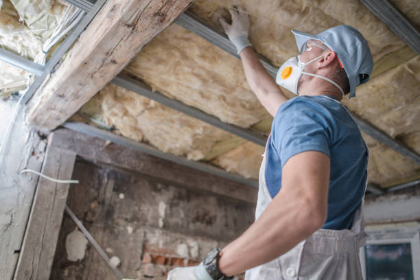 Best Affordable Insulation Services  in Hallsville, MO