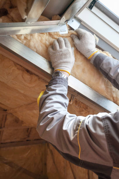 Best Crawl Space Insulation  in Hallsville, MO