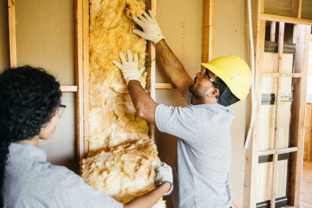 Best Attic Insulation Installation  in Hallsville, MO
