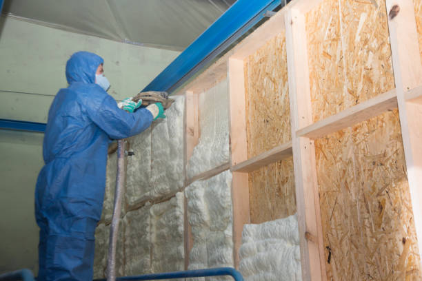 Best Professional Insulation Contractor  in Hallsville, MO