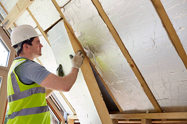 Best Insulation Inspection Services  in Hallsville, MO