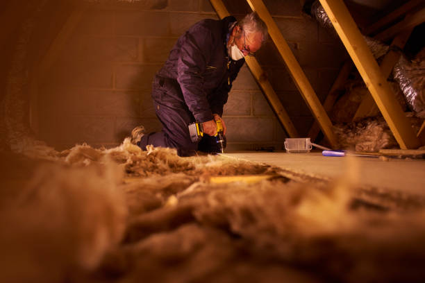 Best Insulation Repair Services  in Hallsville, MO